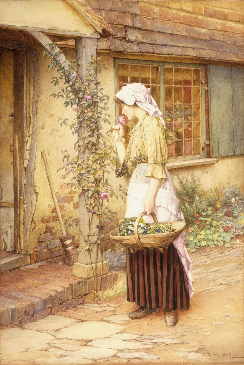 Den sødeste rose (w/c på papir) af Charles Edward Wilson
