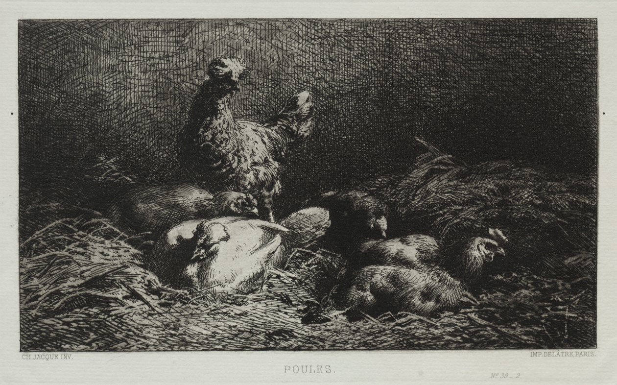 Høns af Charles Emile Jacque