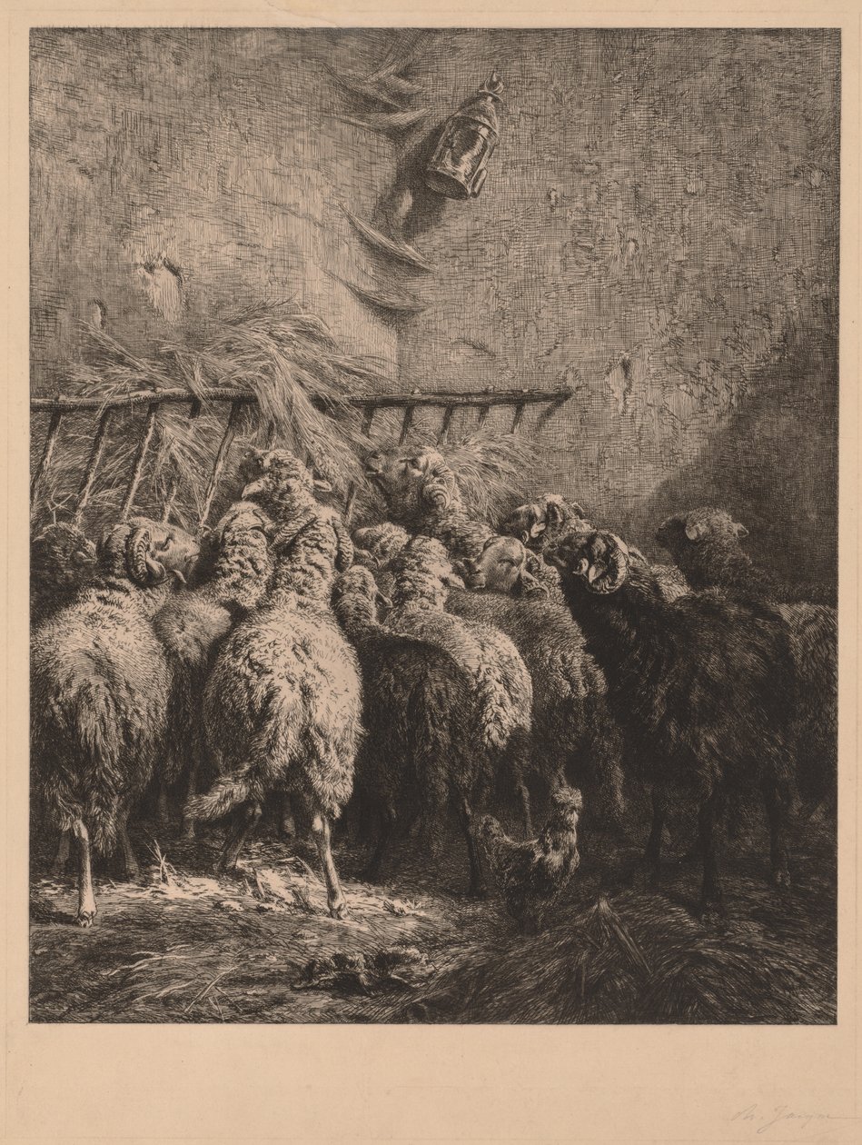 Interiør af fåreindhegning. af Charles Emile Jacque