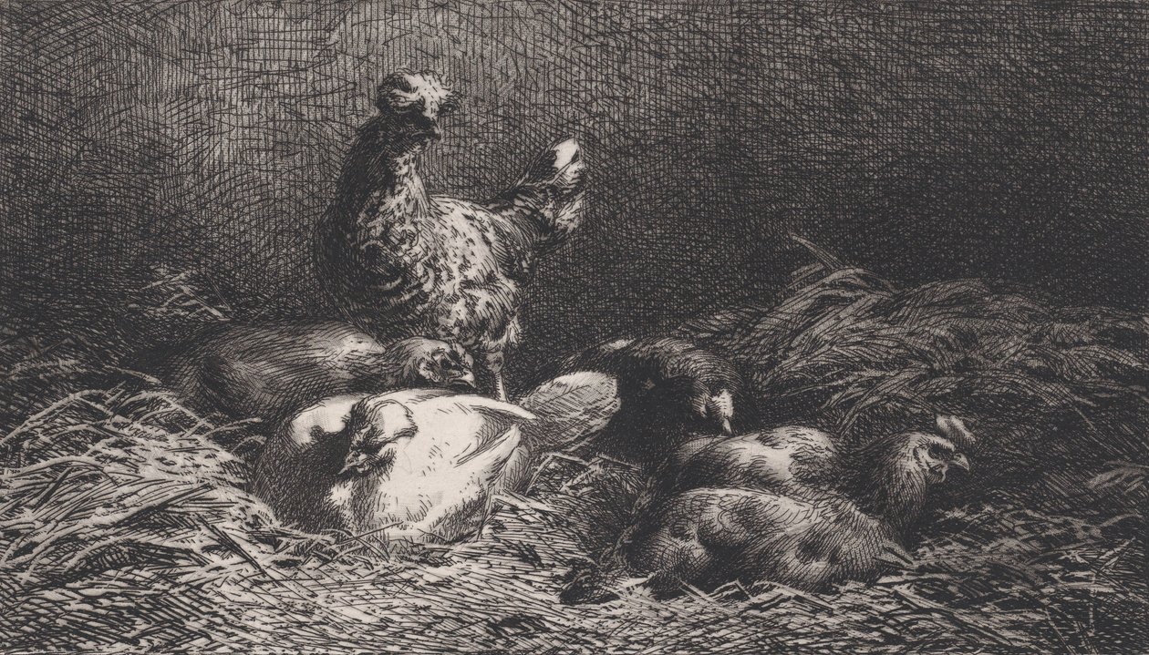 Høns, 1867. af Charles Emile Jacque