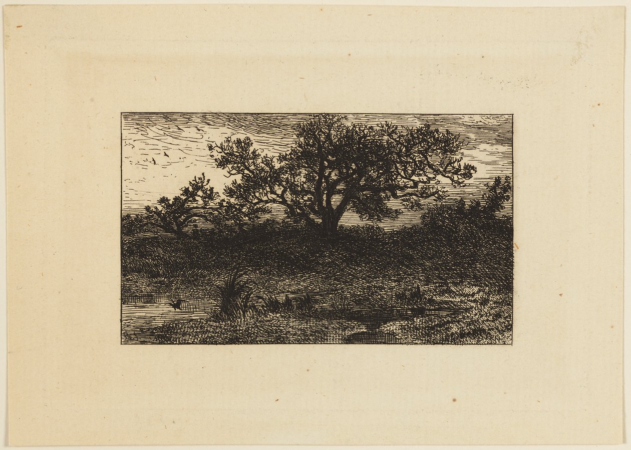 Print af Charles Emile Jacque