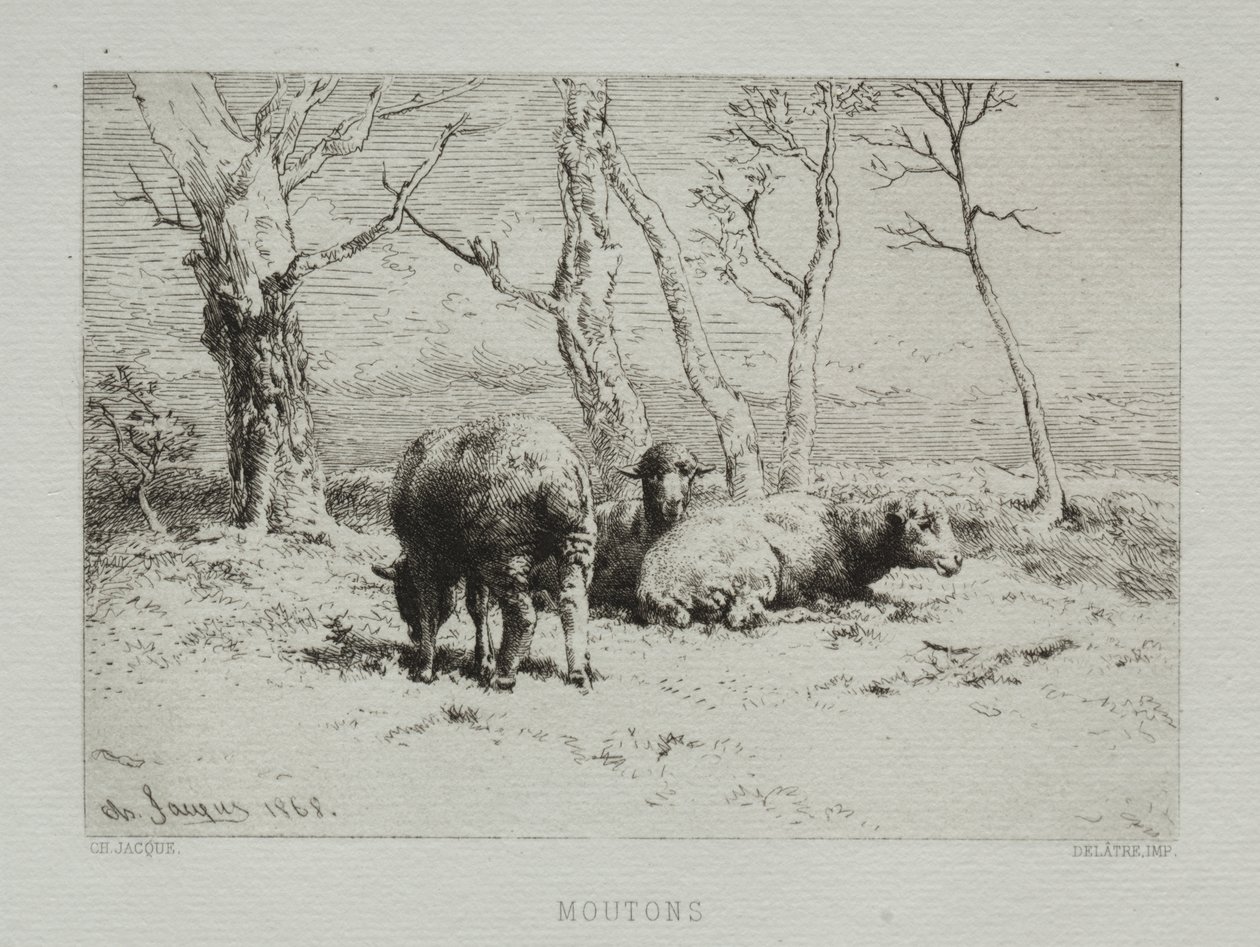 Får af Charles Emile Jacque