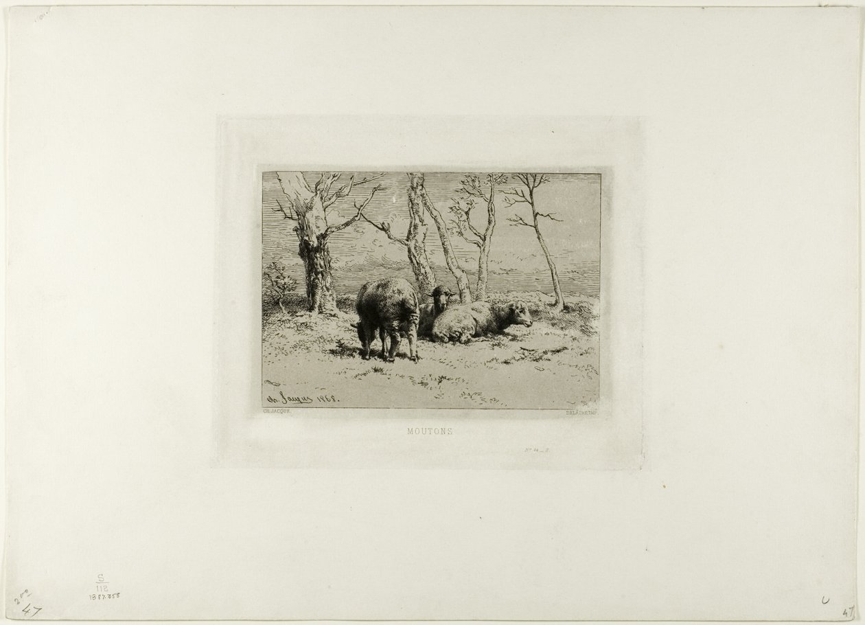 Får af Charles Emile Jacque