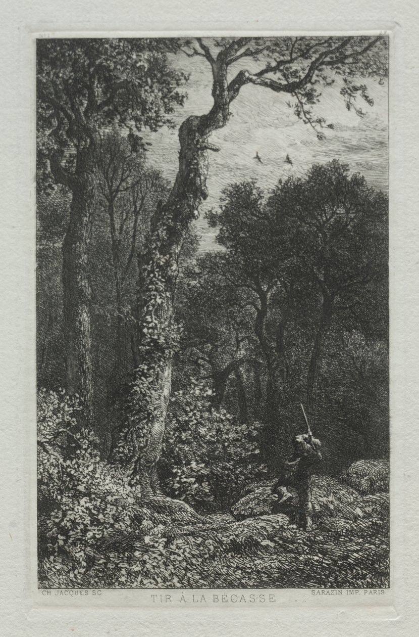 At skyde skovsneppen af Charles Emile Jacque