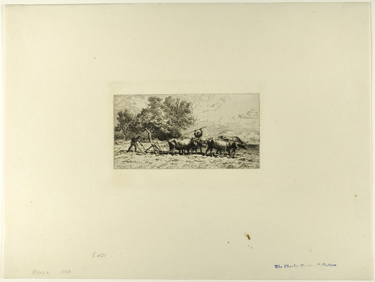 Team af okser af Charles Emile Jacque