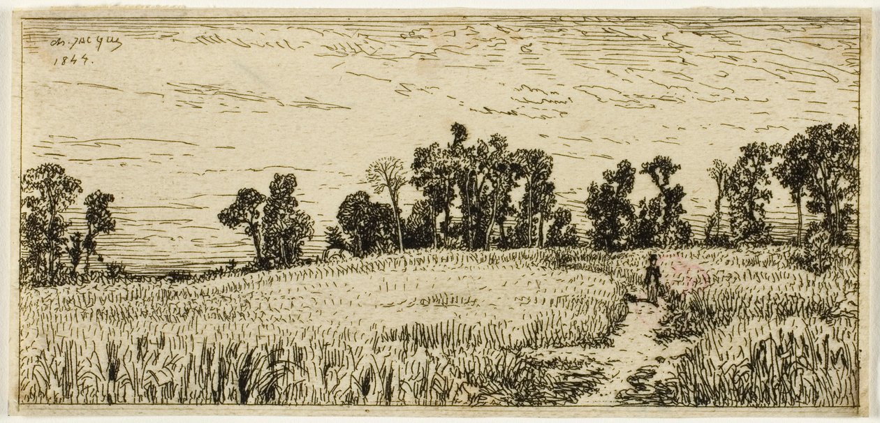 Hvedemark af Charles Emile Jacque