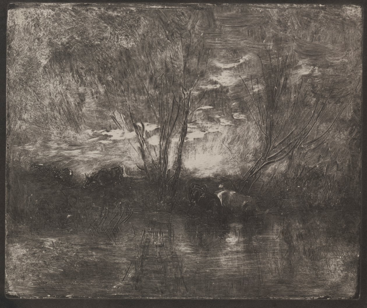 Køer på et vandingssted af Charles Francois Daubigny