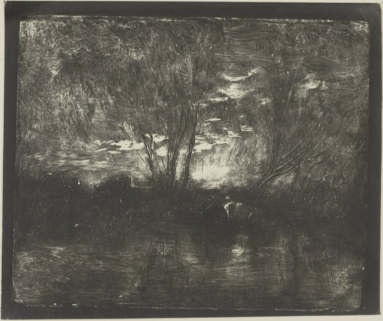 Køer ved Vandingspladsen af Charles Francois Daubigny