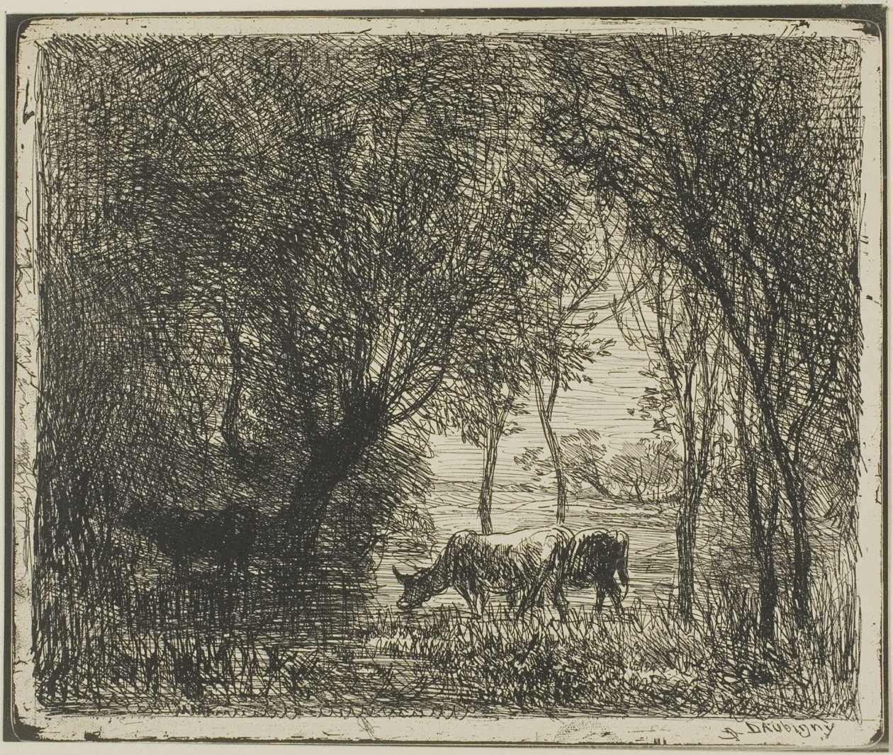 Køer i en Skov af Charles Francois Daubigny