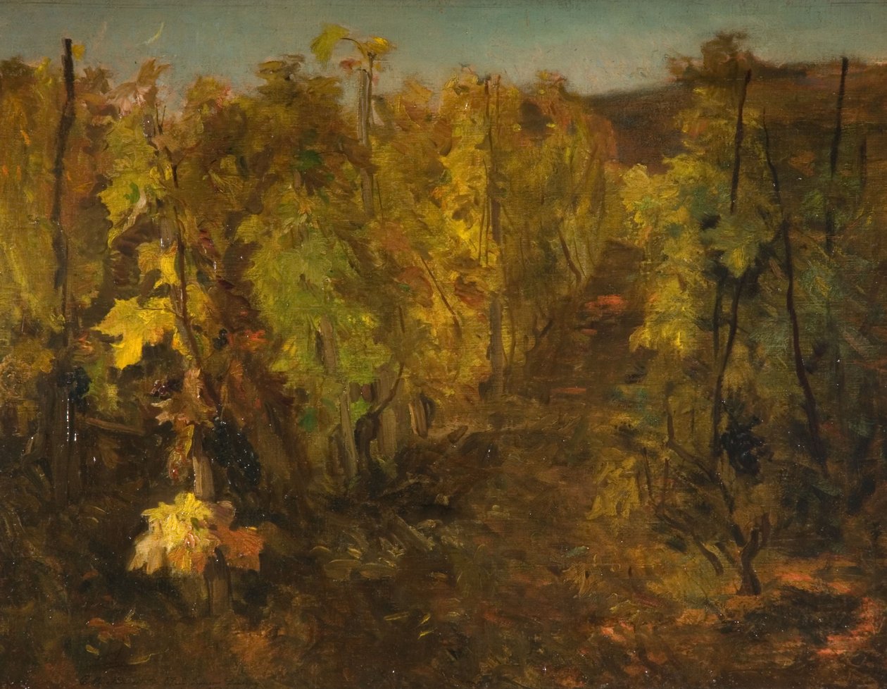 Vinstokken, 1860-1863 af Charles Francois Daubigny