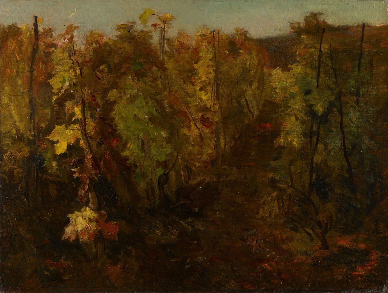 Vinstokken, 1860-1863. af Charles Francois Daubigny