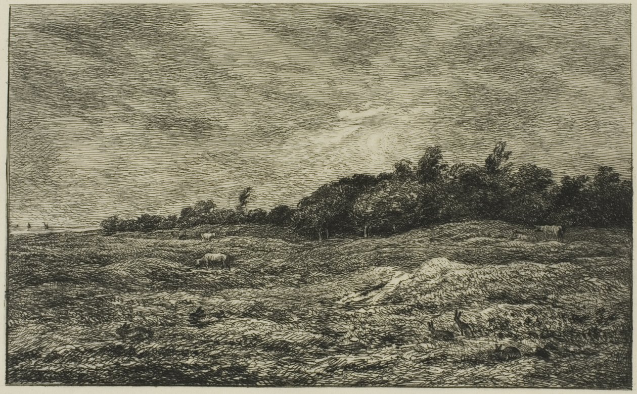Pre des Graves i Villerville (Calvados) af Charles Francois Daubigny