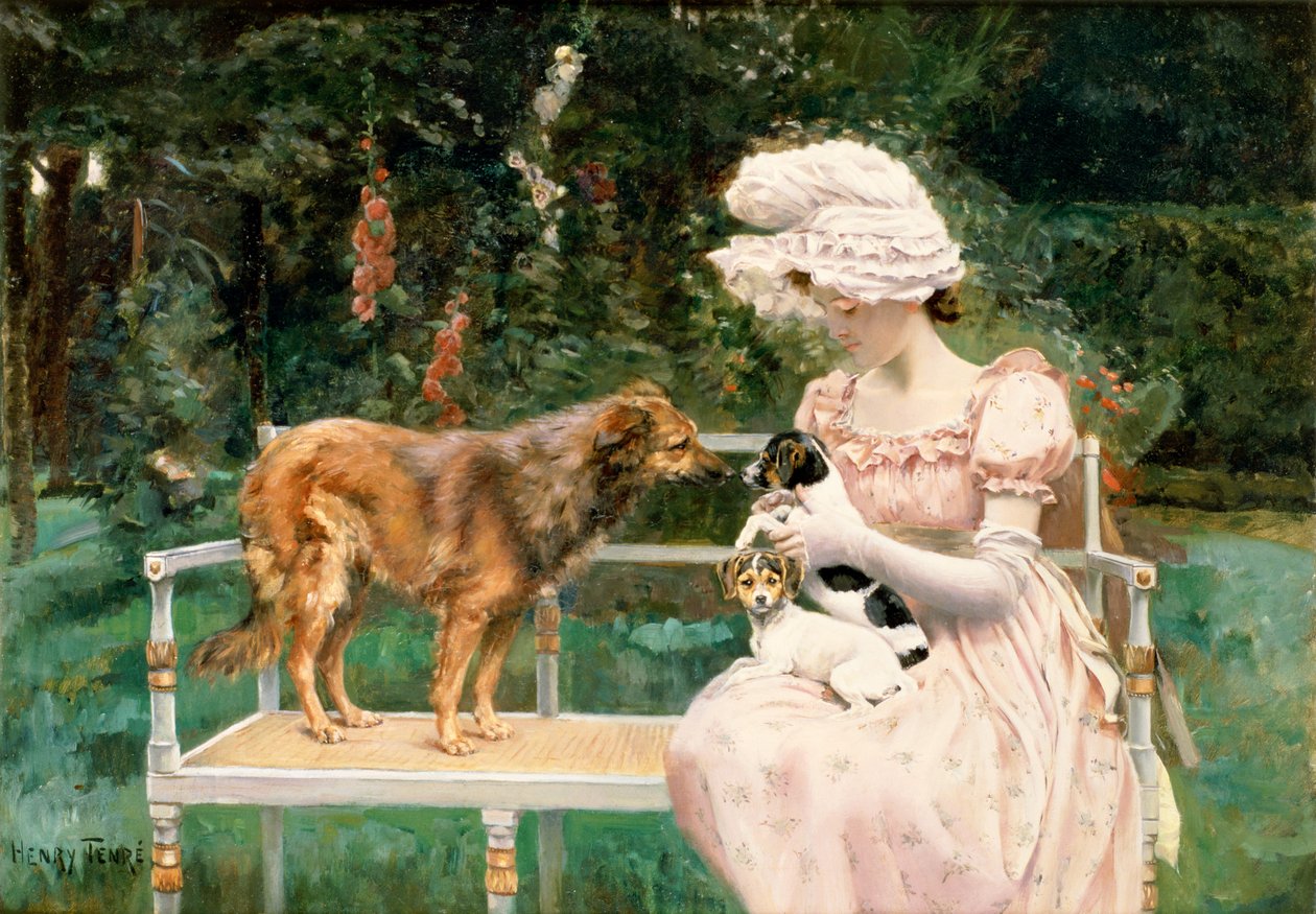 Introduktioner af Charles Henry Tenre