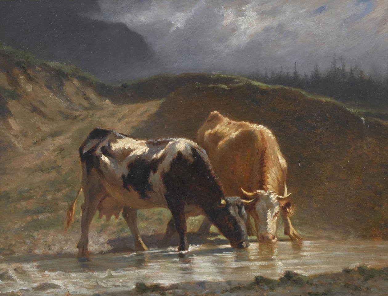 Køer ved vanding af Charles Humbert