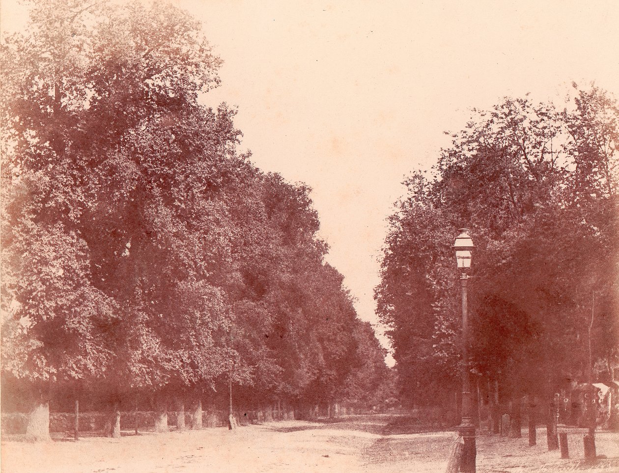Træbeklædt indkørsel, 1850-53. af Charles Marville