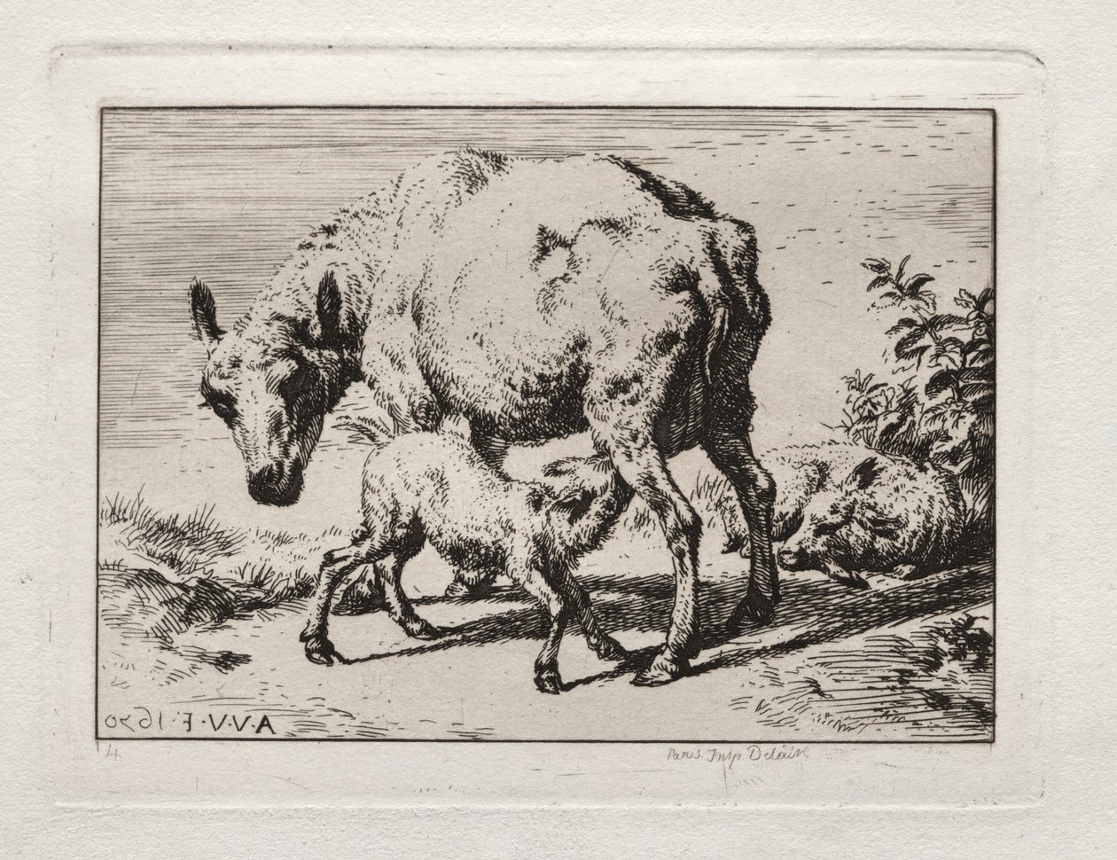 Moden med to lam, 1850. af Charles Meryon