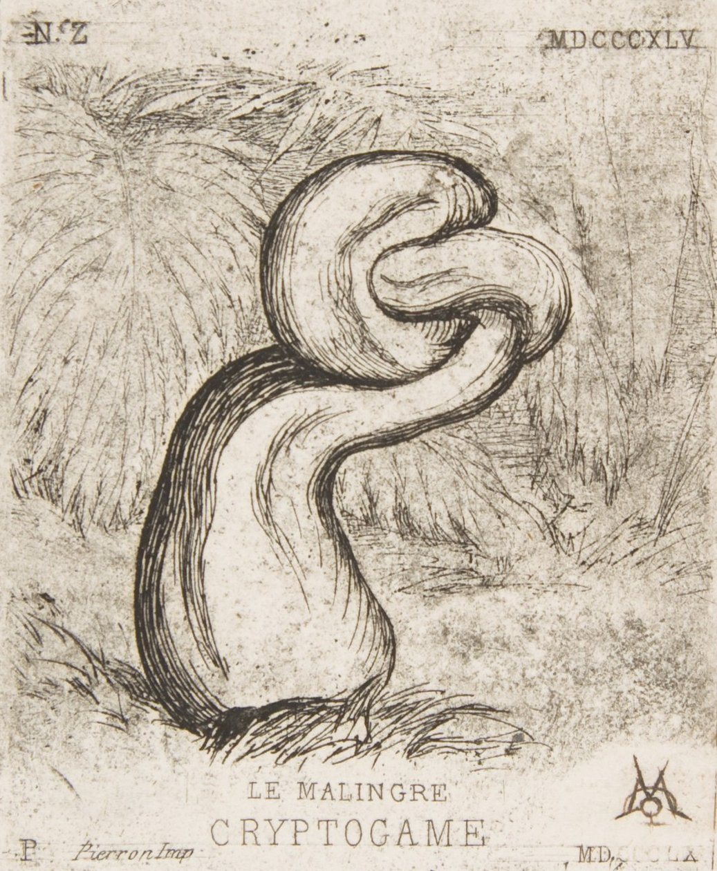 Den sølle Cryptogamia, 1860. af Charles Meryon