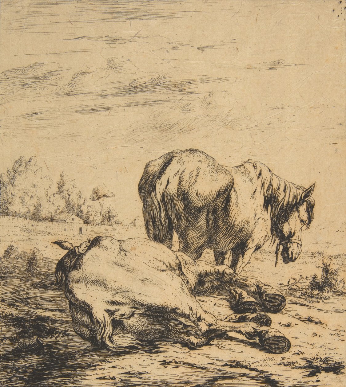 To Heste, 1850. af Charles Meryon