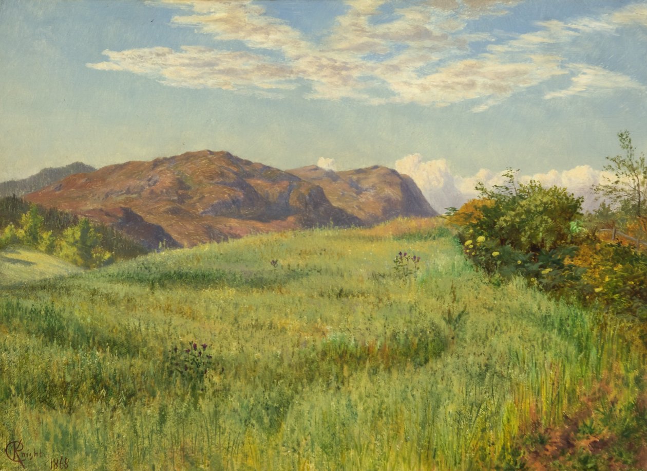 En højlandshavremark af Charles Parsons Knight