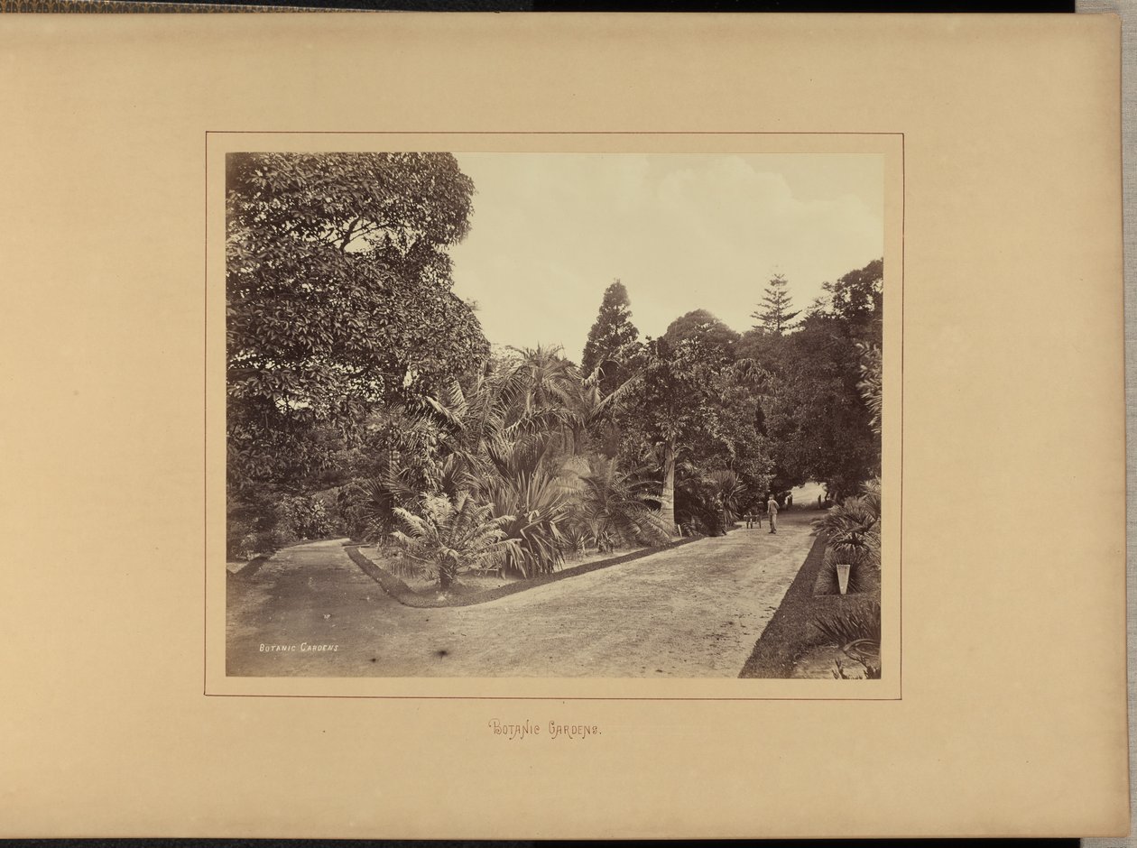 Botanisk Have af Charles Percy Pickering