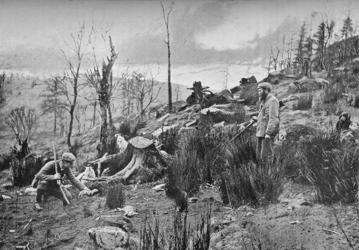 Putting in the Ferret, c1900, 1903 af Charles Reid