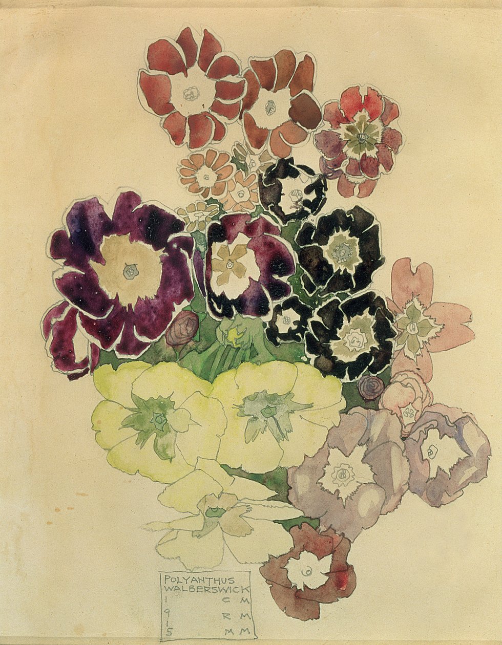 Polyanthus, Walberswick, 1915 af Charles Rennie Mackintosh