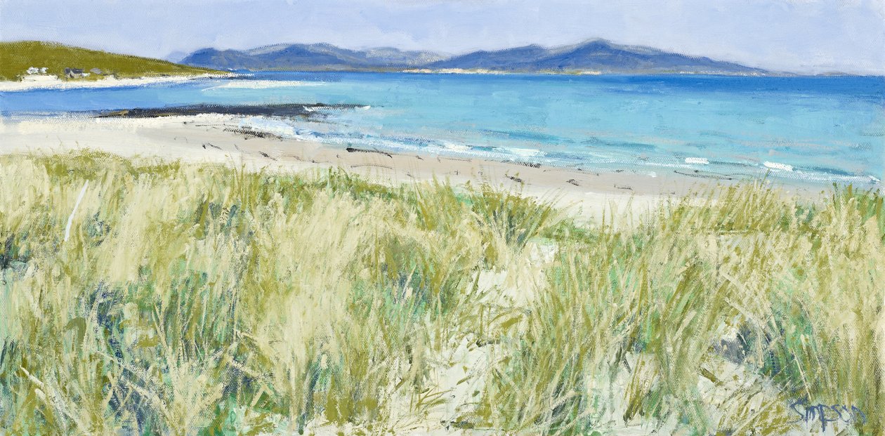 Strandgræs, Berneray, 2011 (olie på lærred) af Charles Simpson