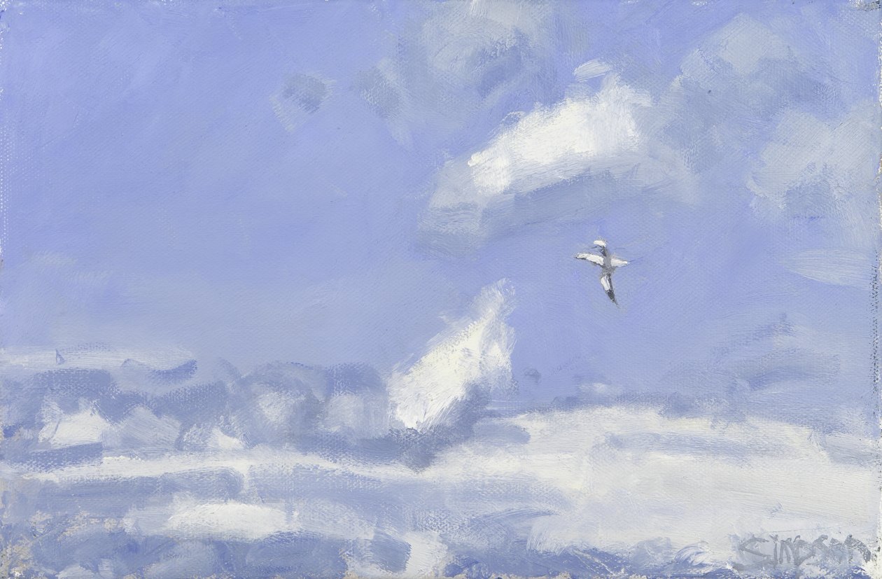 Gannet  Clouds, 2016 (olie på lærred) af Charles Simpson