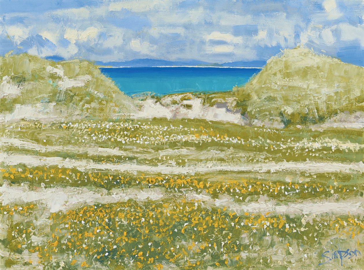 Glimt af Harris, 2014 (olie på lærred) af Charles Simpson