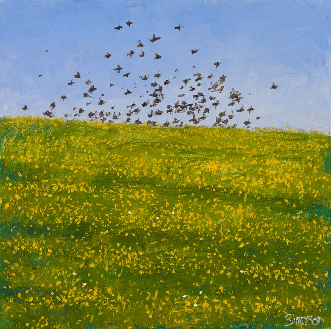 Starlings  Buttercups, Iona, 2015 (olie på lærred) af Charles Simpson