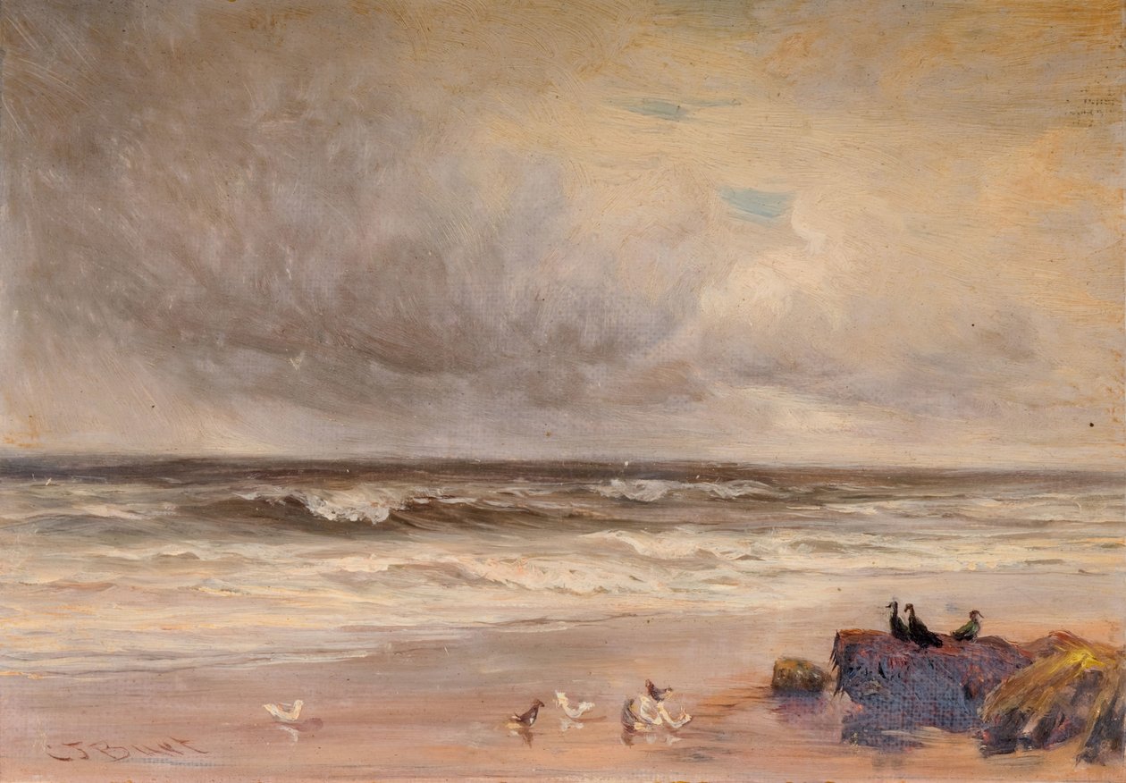 Havkysten, 1887. af Charles Thomas Burt