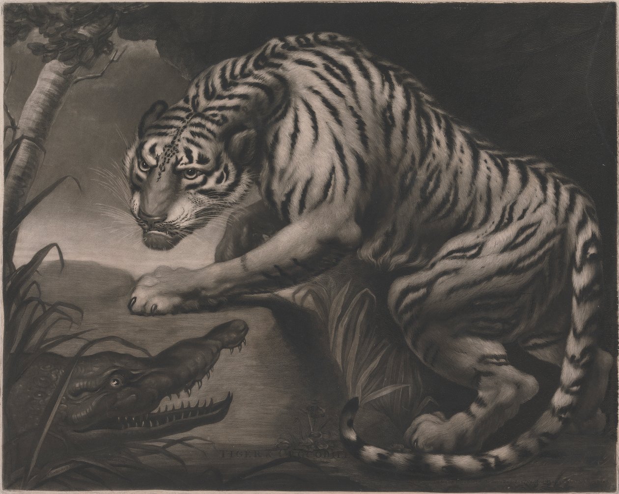 Tiger og krokodille af Charles Turner
