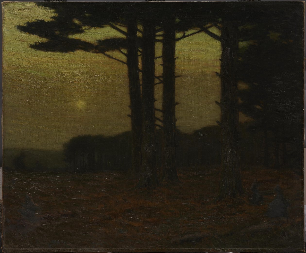 Sentinelerne af Charles Warren Eaton