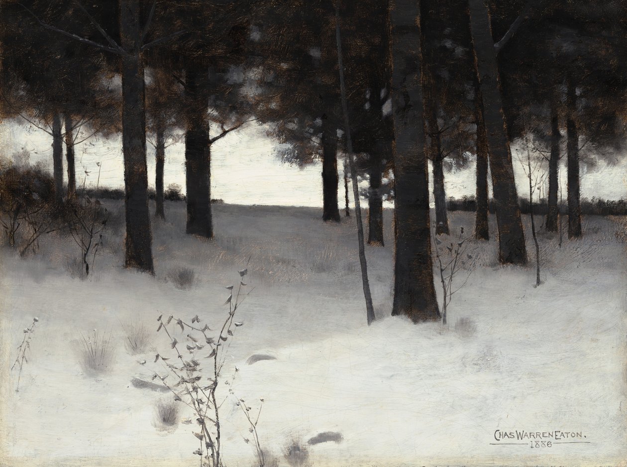 Skov om vinteren, 1886. af Charles Warren Eaton