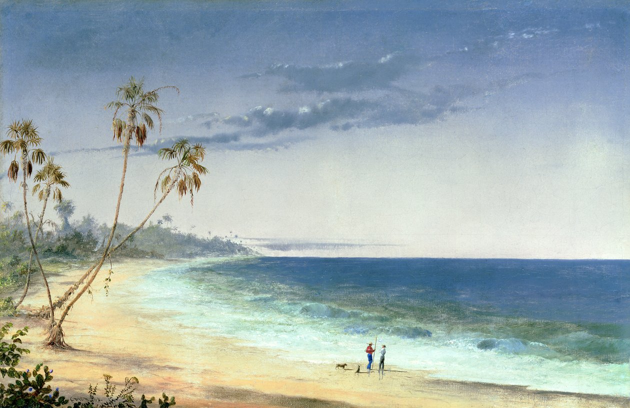 Cubansk landskab, 1866 af Charles de Wolfe Brownell