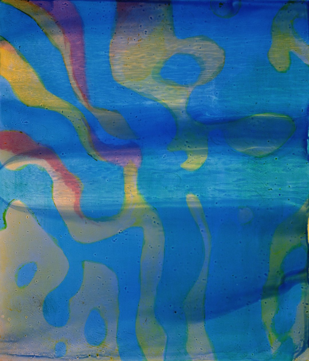 Indian Swarthy, 2000 (olie på gesso) af Charlotte Johnstone