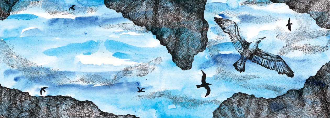 The Seagull