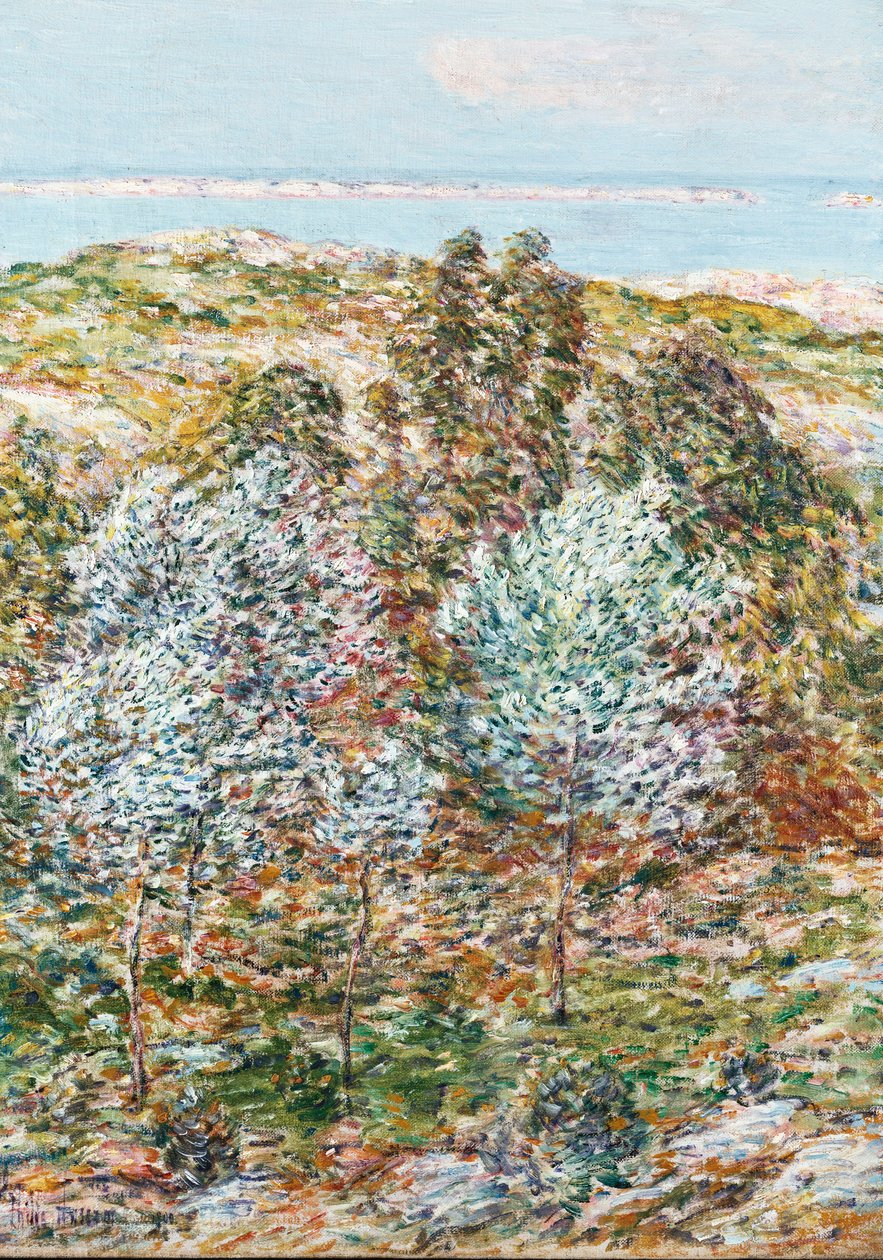 Forårssyn af Childe Frederick Hassam