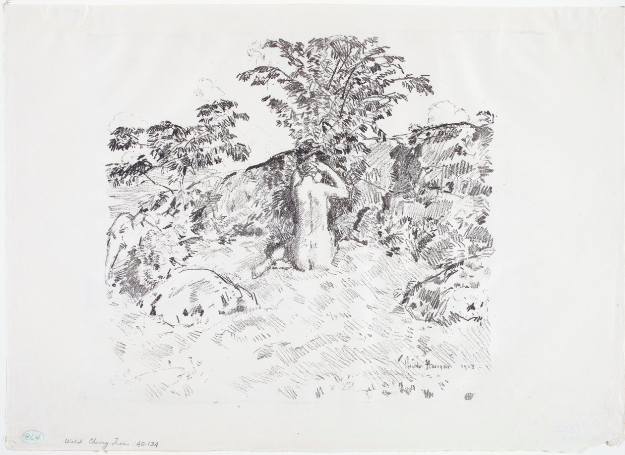 Vilde kirsebærtræ af Childe Frederick Hassam