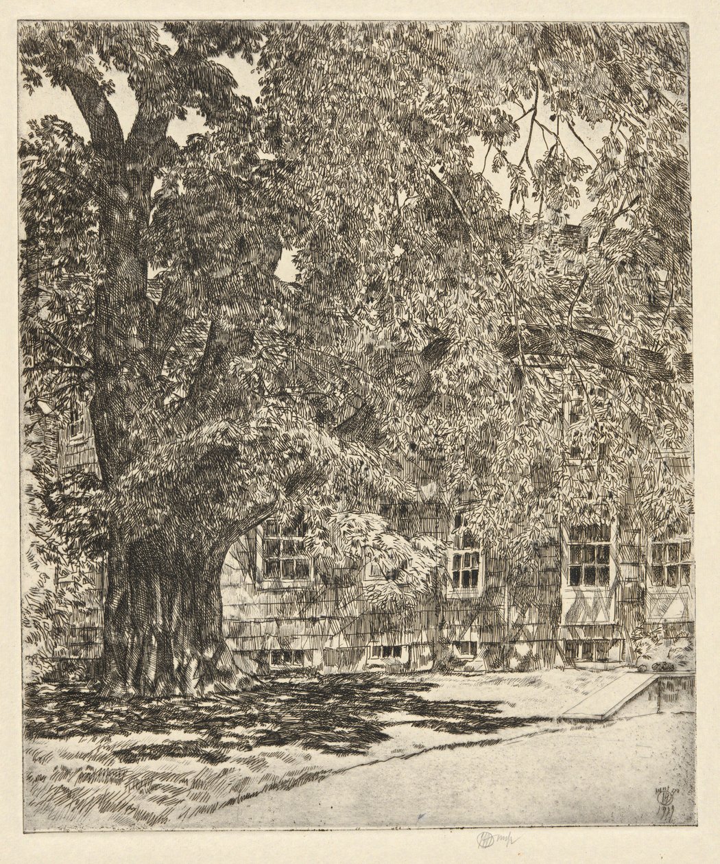 Kæmpe-elm, 1929 af Childe Hassam