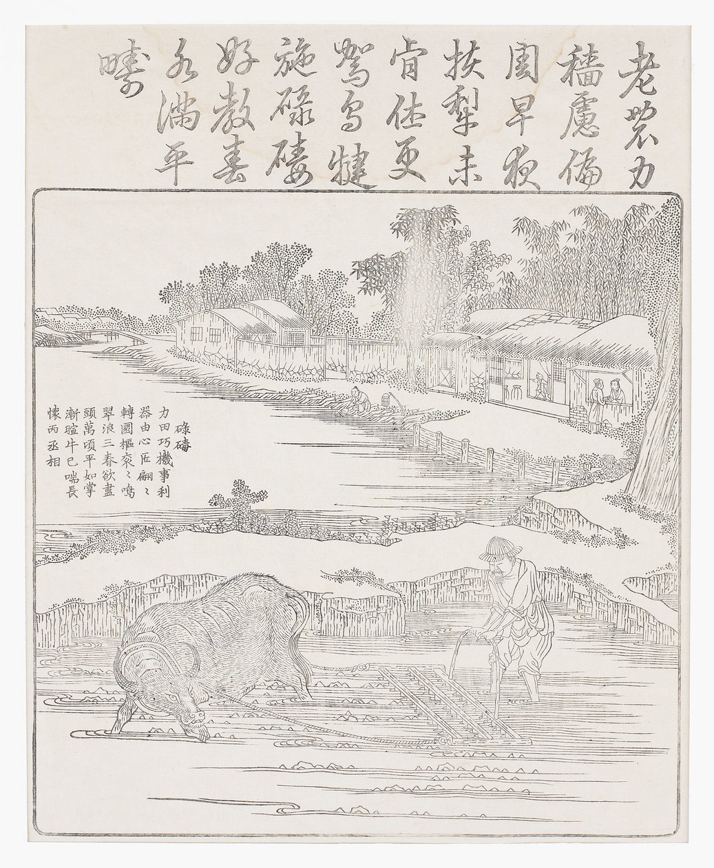Harving af rismarken, 1700-tallet af Chinese School