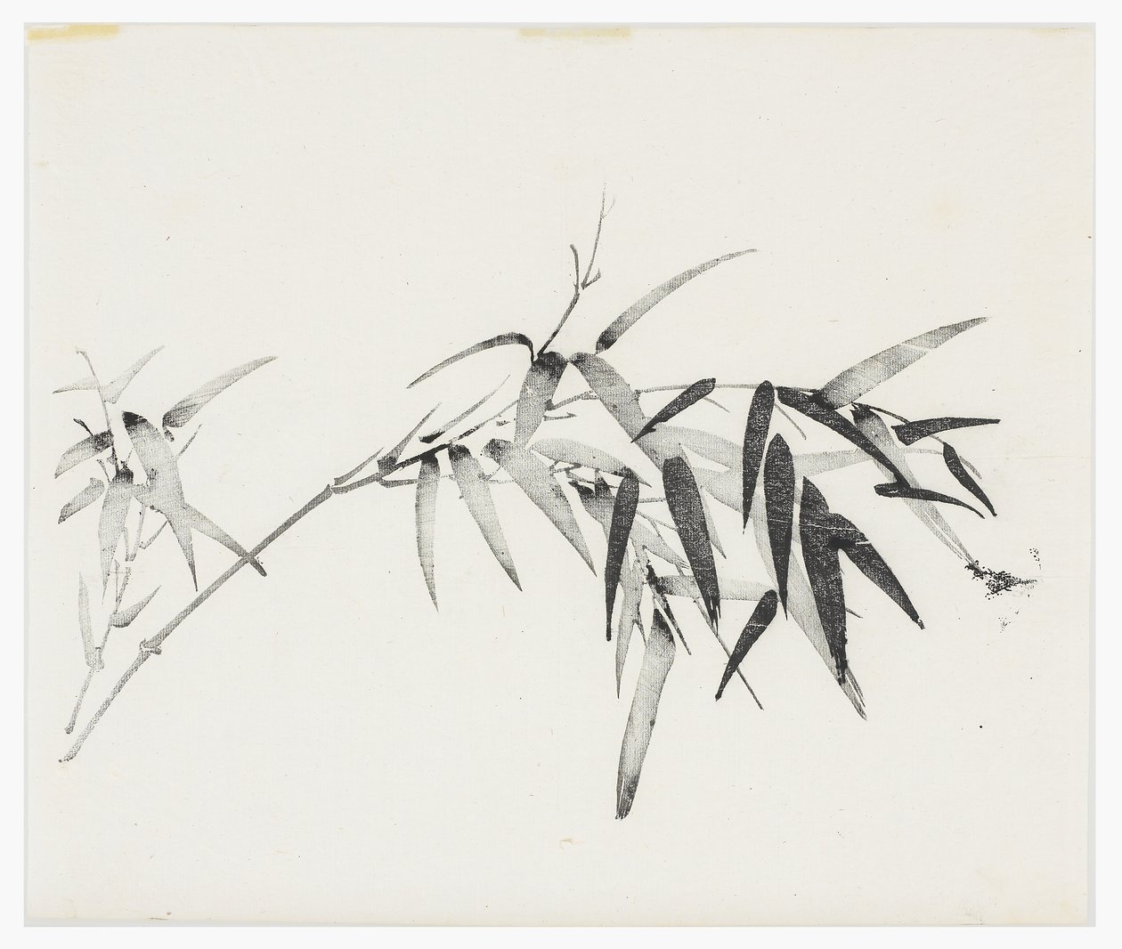 Ten Bamboo Series, 18th centurydani af Chinese School