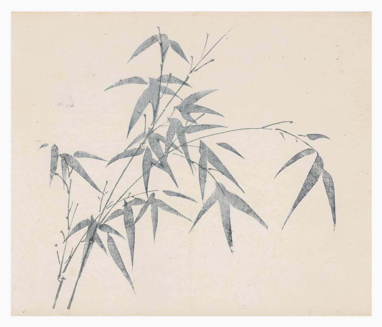 Ten Bamboo Series, 18th centurydani af Chinese School