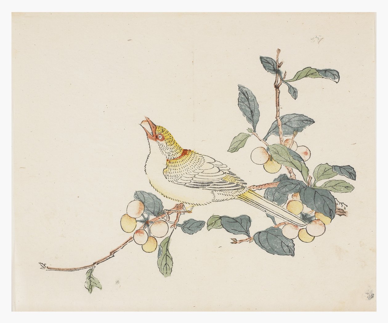 Ten Bamboo Series, 18th centuryani af Chinese School