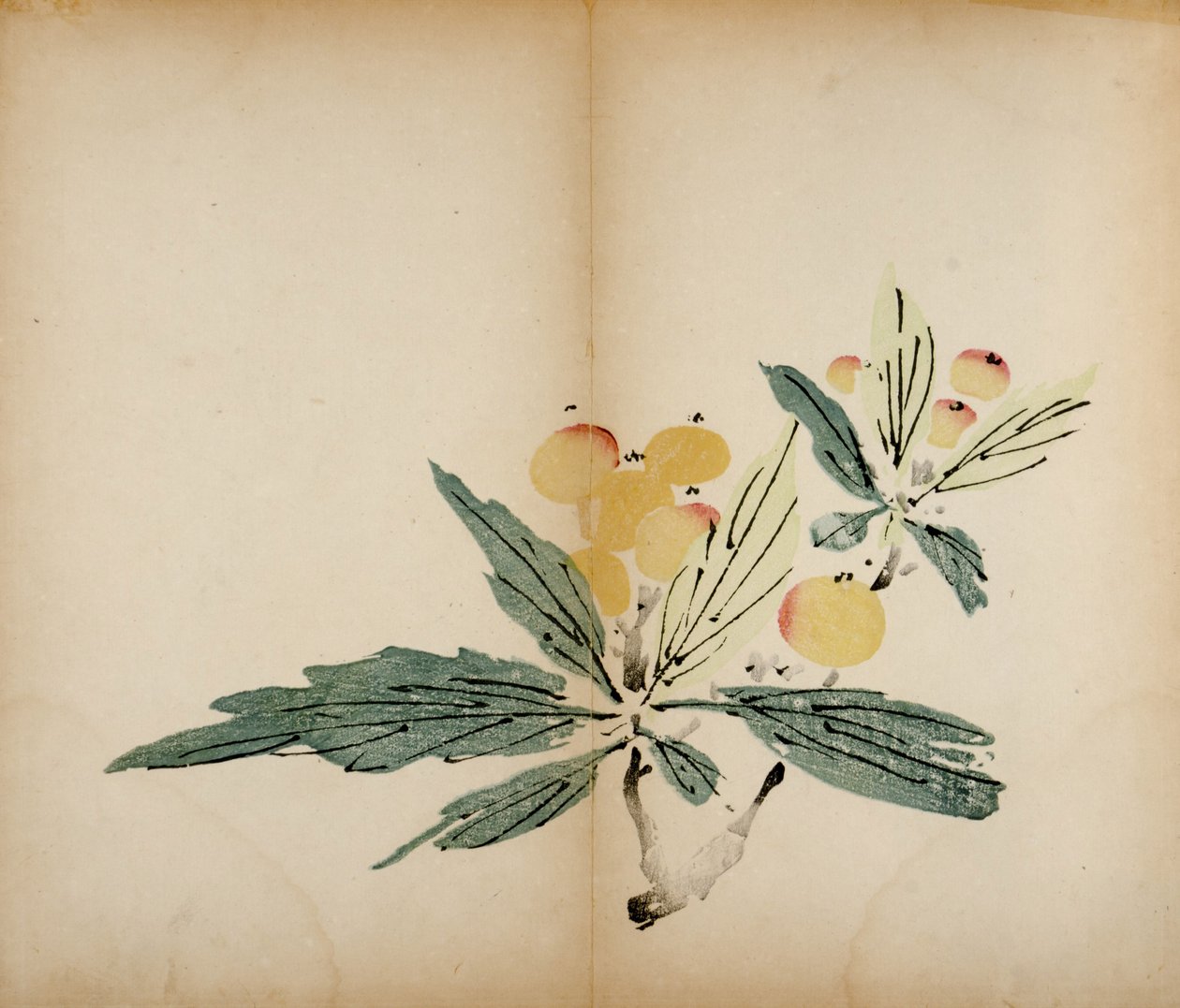 Ti Bamboo Studio Prints, 1643 (træblok) af Chinese School
