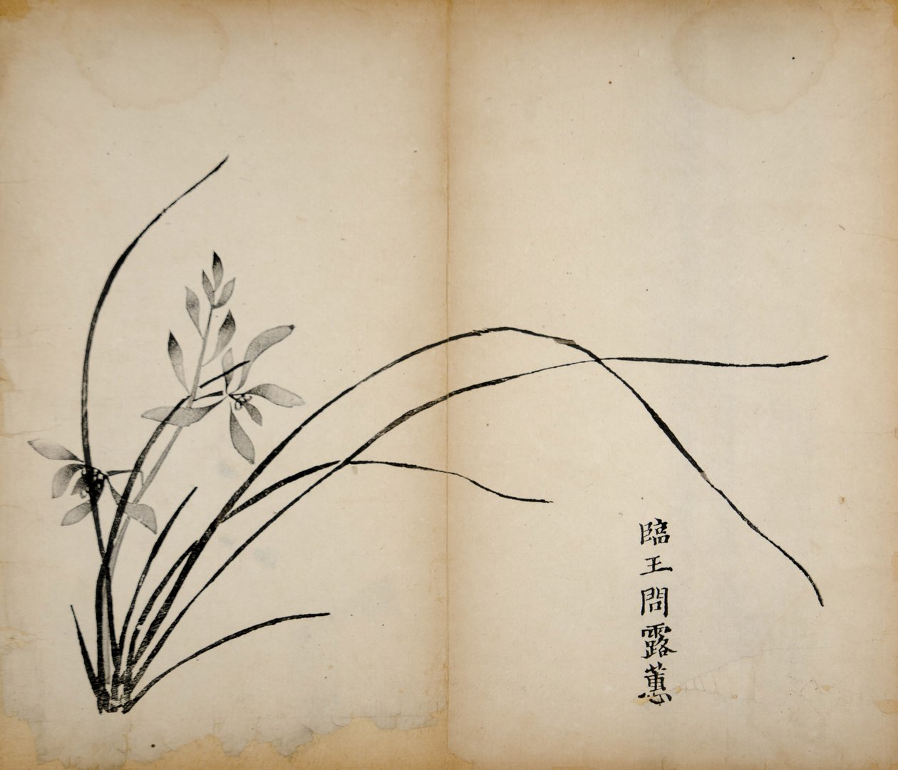 Ti Bamboo Studio Prints, 1643 (træblok) af Chinese School