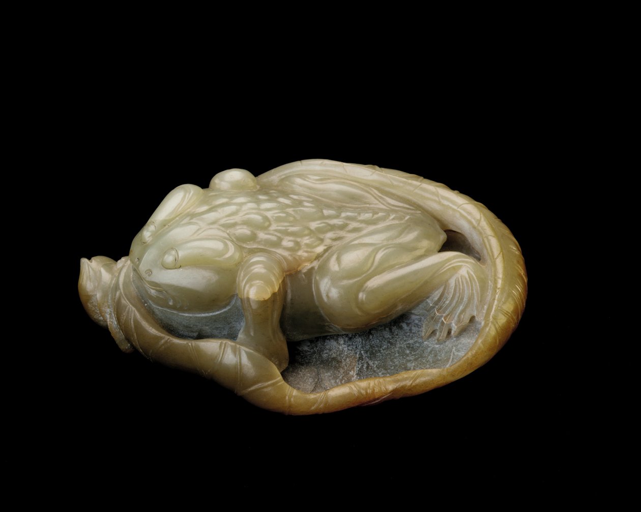 Padde på et lotusblad, 1500-1700 af Chinese School
