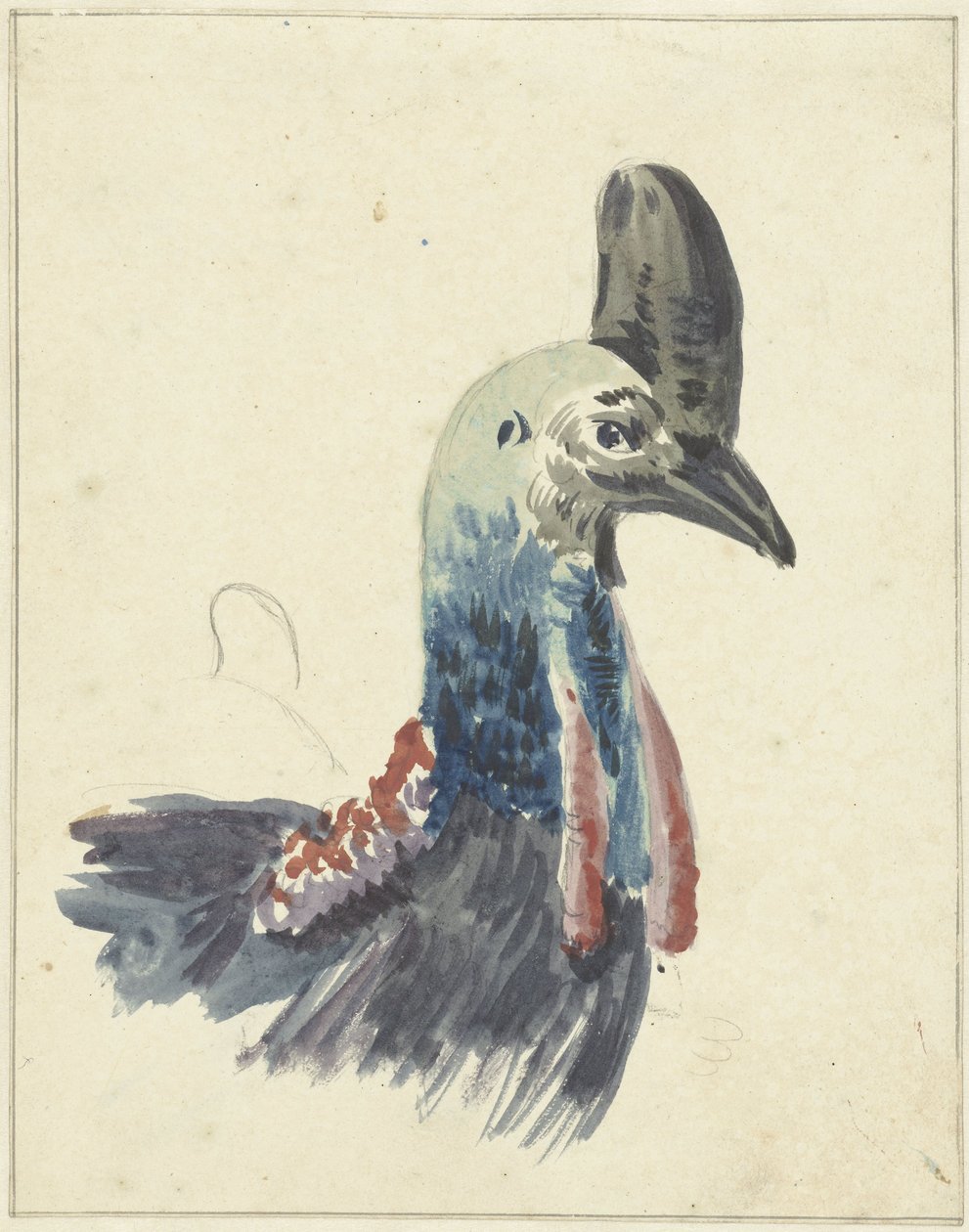 Leder af Cassowary, akvarel af Christiaan van Geelen