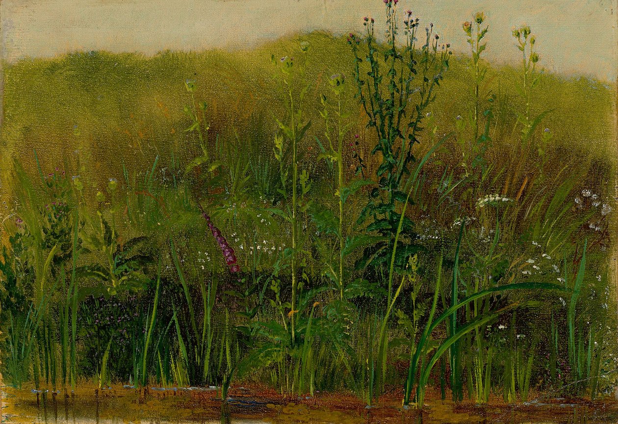 Planter på bredden af Christian Friedrich Gille