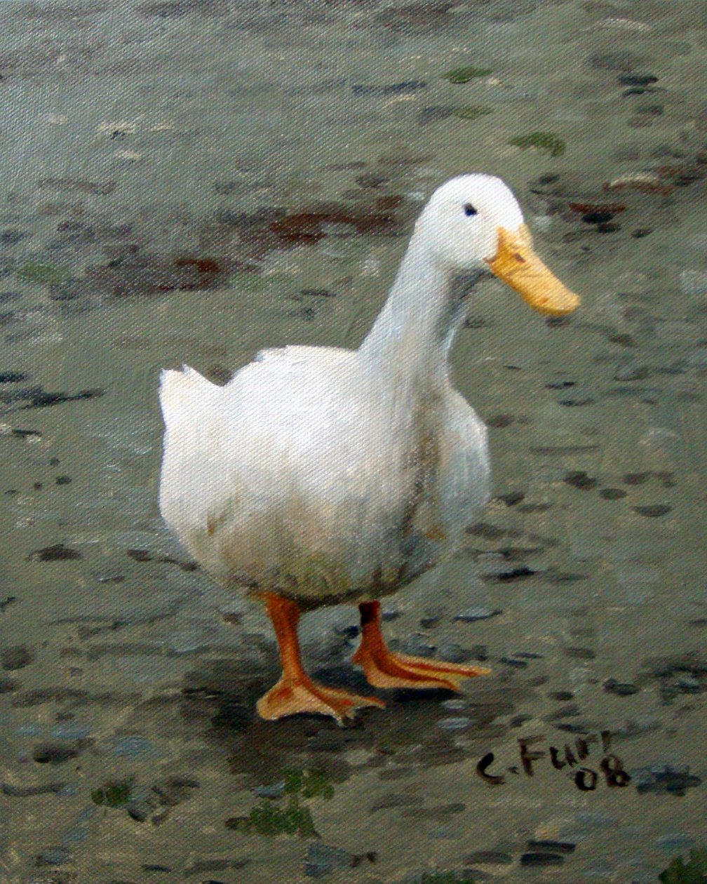 Goose, 2006 (olie på lærred) af Christian Furr